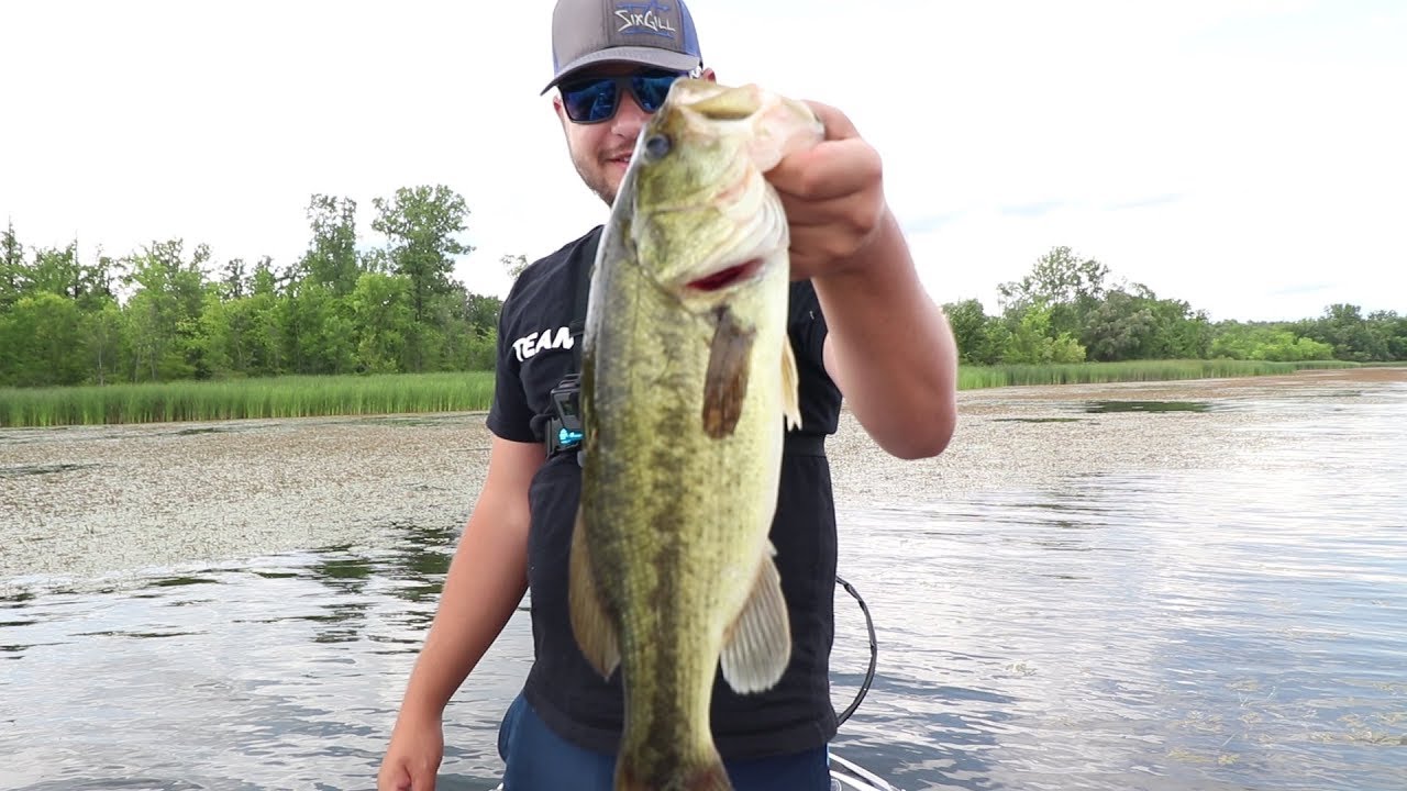 Catching Big Bass ( Stoney Creek Lake ) YouTube
