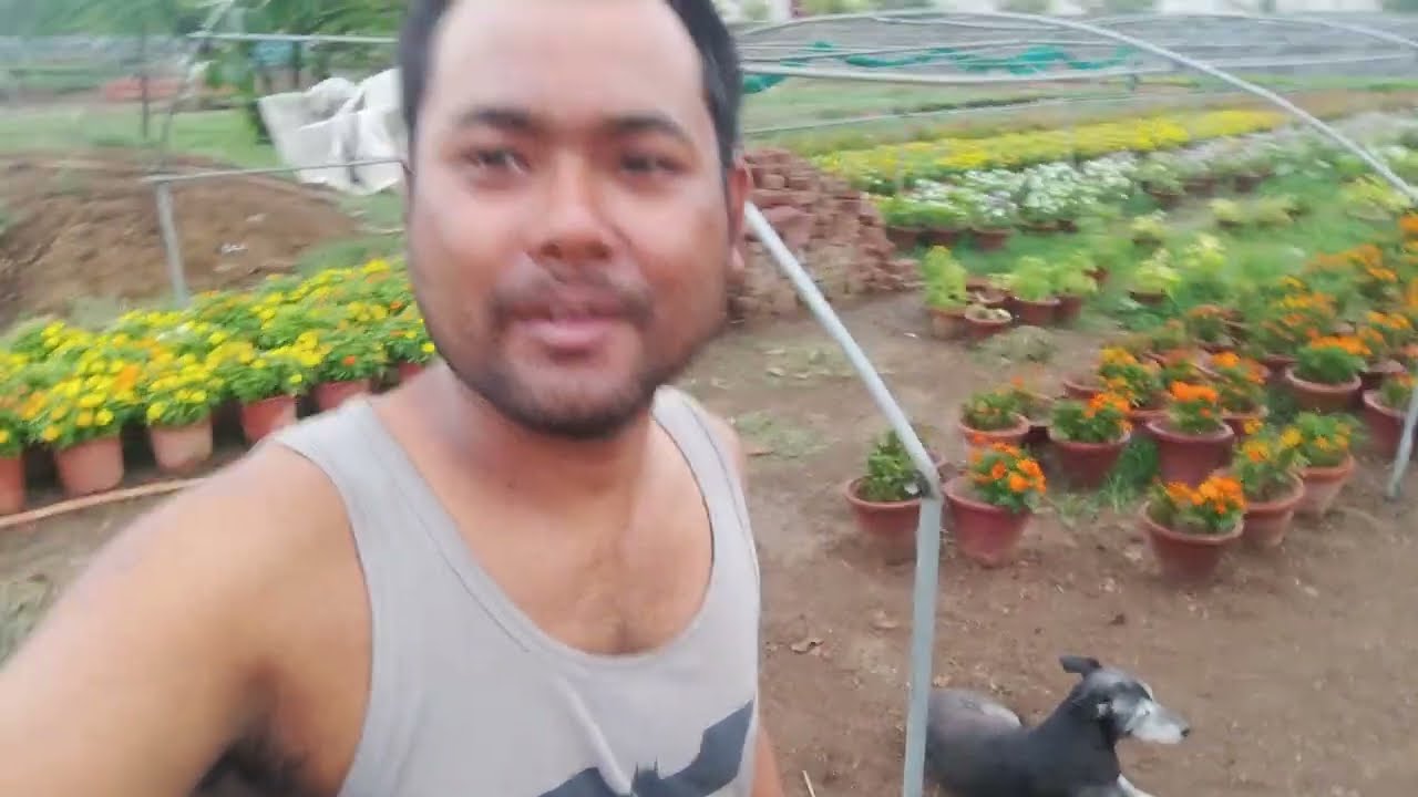 Flower Festival Delhi 2025 | Sabse Sundar Phoolon Ka Mela | Delhi No.1 Mali Guide