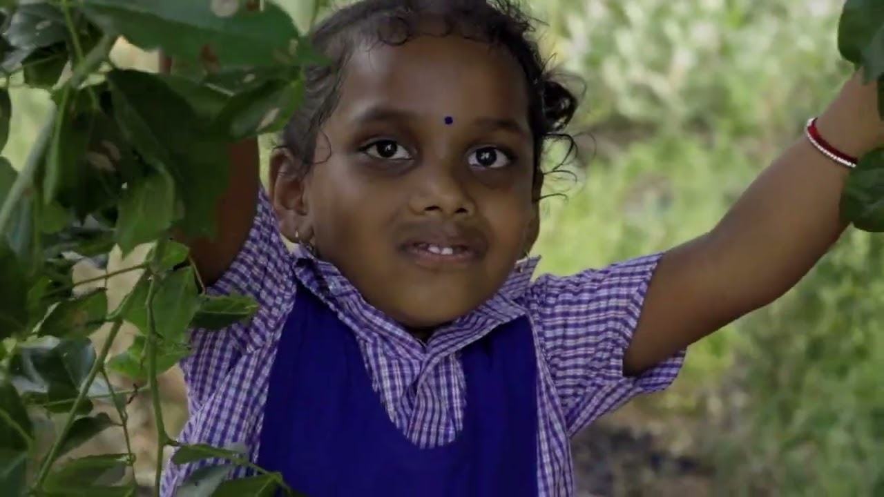 Shami amma tree pose with meenamma song