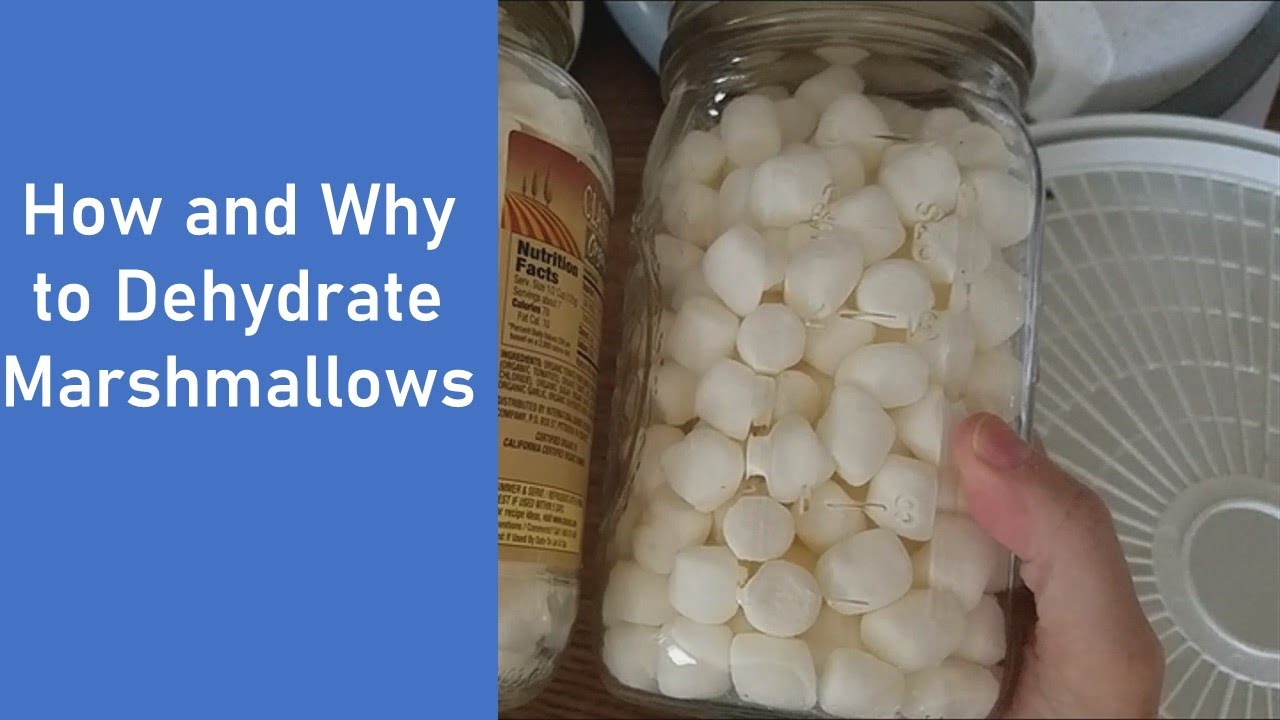 How and Why to Dehydrate Marshmallows | What to Do with Dehydrated Marshmallows | #Lets Dehydrate