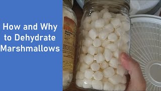 How and Why to Dehydrate Marshmallows | What to Do with Dehydrated Marshmallows | #Lets Dehydrate