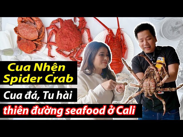 Cua Nhện Khổng Lồ, Cua Đá, Tu Hài, Tôm Hùm Đỏ - Khoa Pug Được Thảo Đãi Toàn Seafood Lạ Xịn Nhất Cali class=