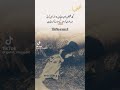 #hafiz#sammi#beautiful#deeplines #foryou#poetry#shortvideo #viralvideo#youtubeshorts