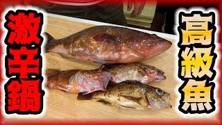 釣った高級根魚で激辛鍋作ってみた！