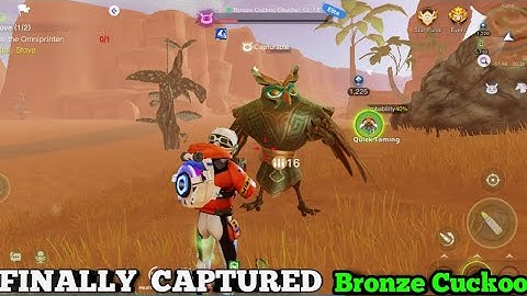 Finally Captured Bronze Cuckoo Chuchu Auroria Gameplay|| Auroria Tips and tricks