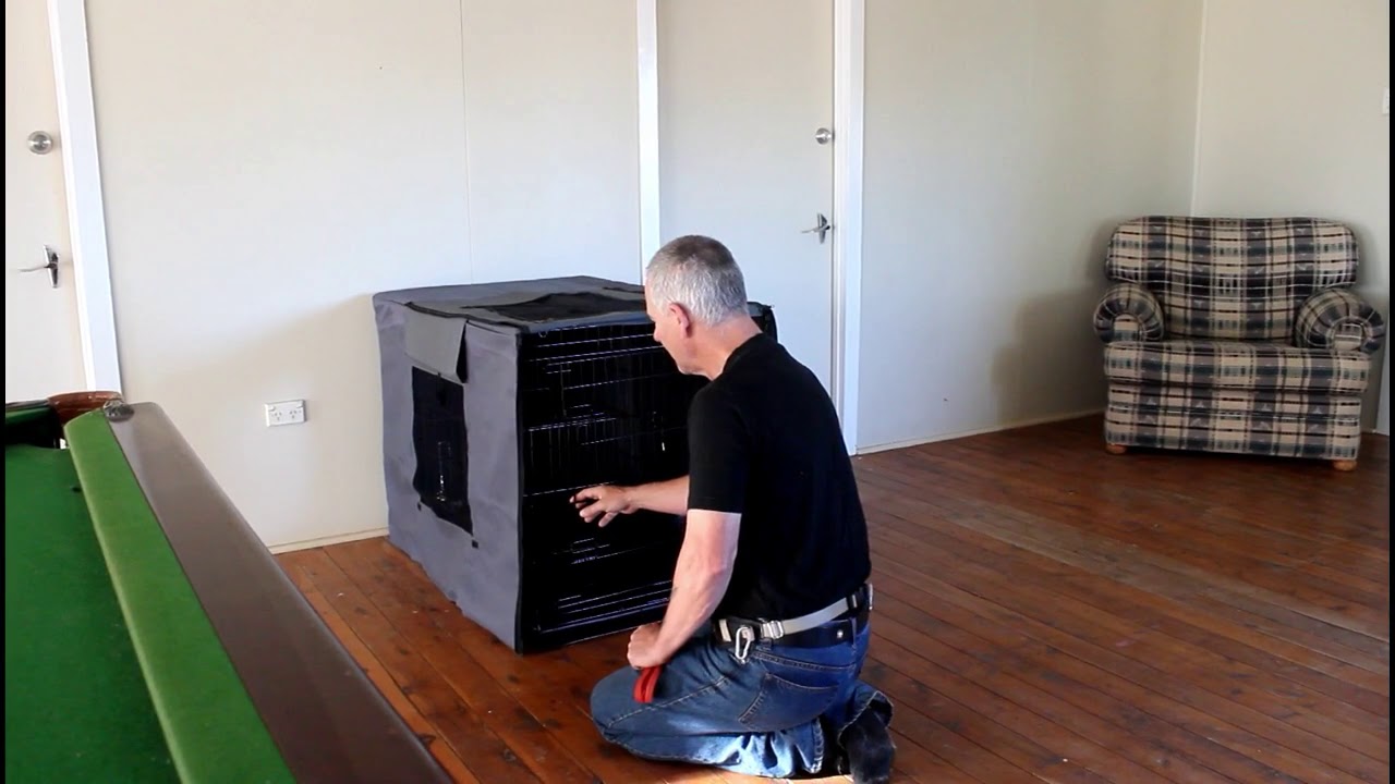 Crate Release - Day One puppy training crate schedule