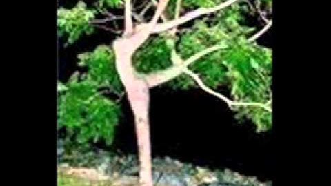 وخشعت الاصوات للرحمن...للقارئ ناصر قطامي.wmv