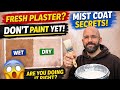 Fresh Plaster? DON’T Paint Until You Watch This! 😱 Mist Coat Secrets Revealed #diy #bedroommakeover 
