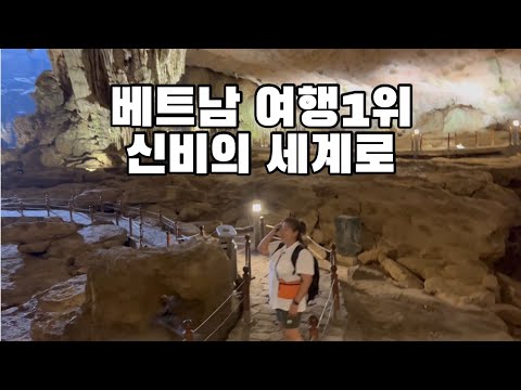 🇻🇳 처음만난 사람들과 신비의 세계로 떠나는 여정 #베트남여행