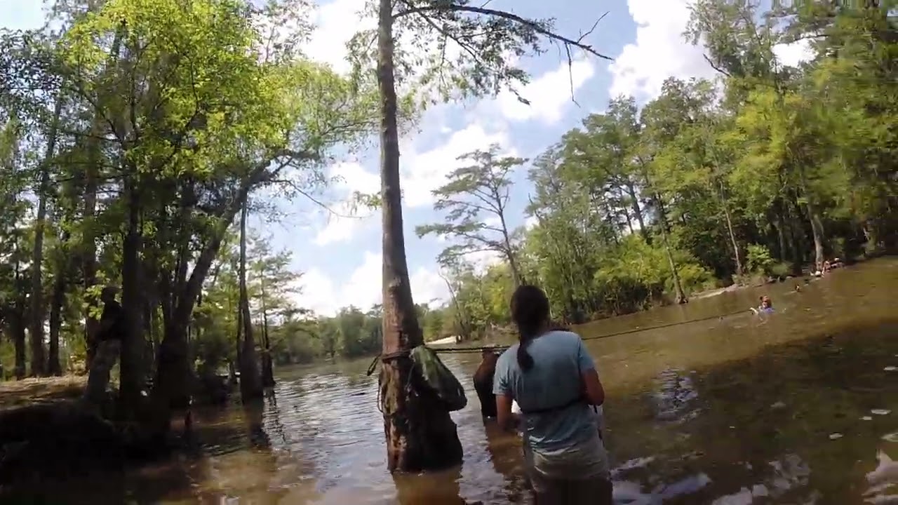 2014 wife swamp walk (rope bridge crossing)