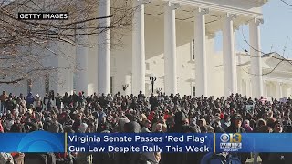 Virginia Senate Passes 'Red Flag' Gun Law, Despite Rally