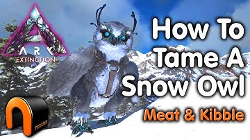 ARK Extinction How To Tame A Snow Owl (Kibble) OLD