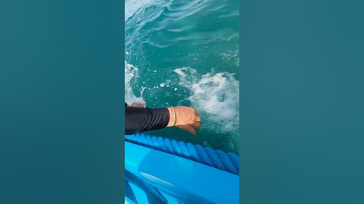 ركبنا بوطى الله الله مع العائلة حكيمة بنت العاصمة