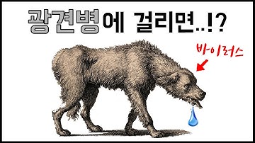 치사율 100%..! 광견병은 사람도 걸린다! - 광견병(공수병)의 진실