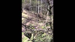 Gönül Bir Dem Karar Etmez