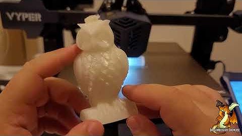 AMOLEN Multicolor Glow Filament Printing with Anycubic Vyper