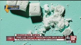 Forty-one people face more than 200 charges in Pinellas prescription drug bust