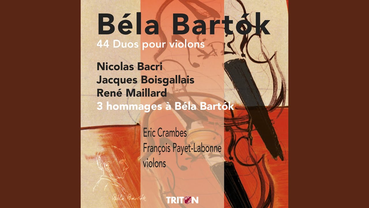 Duos pour violon, Cz. 98: V. No. 28 Affliction