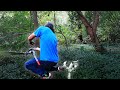 Pulling Down A Tree With A Hand Winch