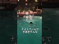 一目惚れしてデート行った結果…