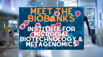 IMBM: A Quick Guide To South Africa