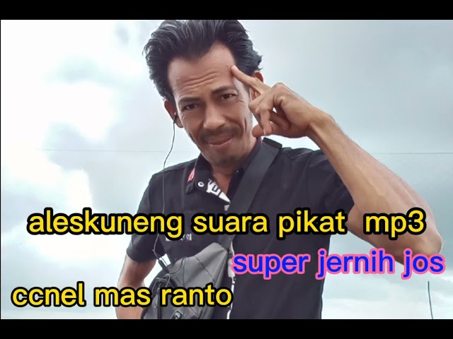 suara pikat aleskuneng super jernih jos untuk pikat mp3 class=