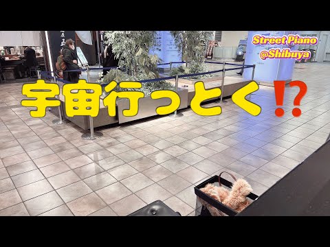 (歌詞付) ベテルギウス - 優里 (Piano Cover by yuka優香)