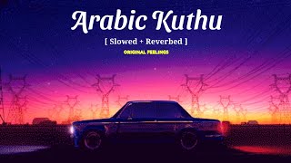 Arabic Kuthu [ Slowed Reverbed ]