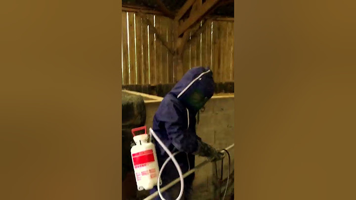 Comment detruire un nid de frelons asiatiques en hauteur (en bretagne - 35)