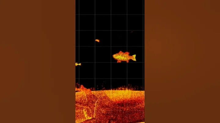 BEST FISH FINDER IN THE WORLD? (UNREAL) 😱 #shorts #fishing #livescope #lvs36 #garmin