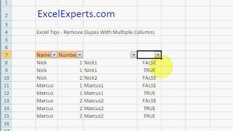 ExcelExperts.com - Excel Tips -Remove Dupes With Multiple Columns