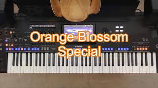 Video thumbnail of "Orange Blossom Special"