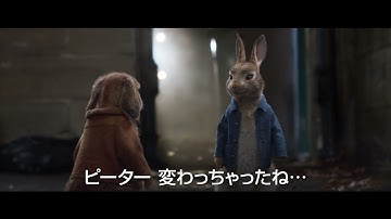 【6/25（金）公開】映画『ピーターラビット２／バーナバスの誘惑』予告編