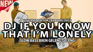 Download lagu Dj  If You Know That Im Lonely {} Mp3 Video Mp4