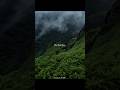 Har Kisi Ko || Aesthetic Lyrics Status || #shorts #lyricssong #explore #vibe