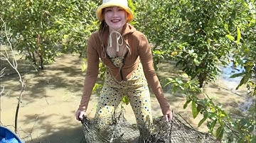 Bầy Cá Lóc Hơn Ba Ký Chạy Nước Rút Đã Bị Bắt 😍😍