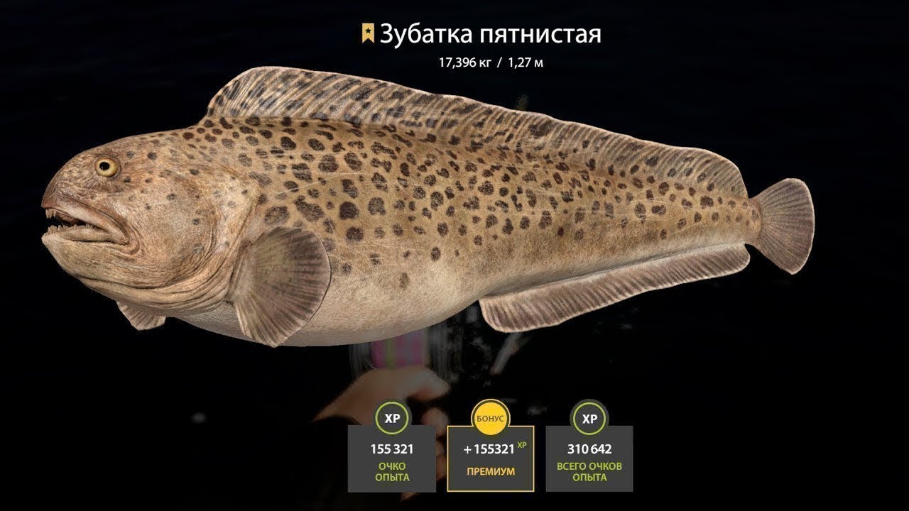 ❤️НОРВЕЖСКОЕ МОРЕ И ЛАДОЖСКИЙ АРХИПЕЛАГ.ГДЕ НАШИ ТРОФЕИ???❤️РОЗЫГРЫШ РУЛЕТОК🍹РУССКАЯ РЫБАЛКА 4