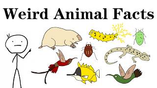 Rare Animal Facts