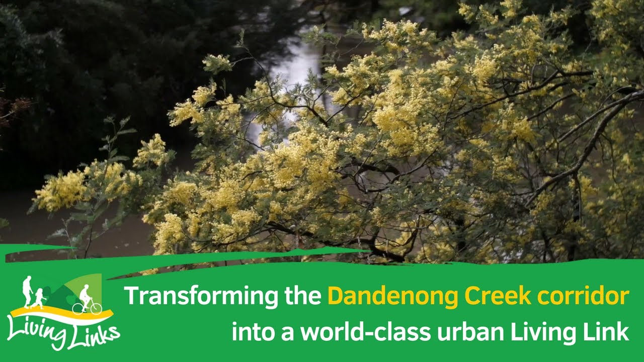 Project overview: Transforming the Dandenong Creek corridor | Living Links