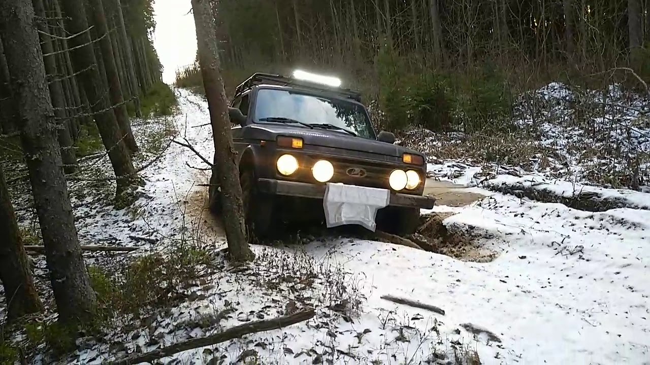 Что значит нива