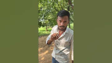 #short feed #YouTube #searchBrowse #features #Channelpages  #YouTube # #Otherfeature