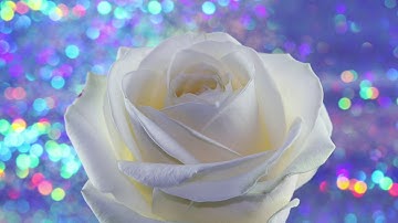 [FREE] Romantic Zouk  "Wonderful12" Zouk love [Afro Pop Type Beat] Kizomba Instrumental 2021