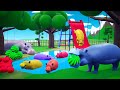 HIPPO FARMDIORAMA Color Hippopotamus Funny Games Semi Aquatic Animals Funny Animals Videos HIPPO FARMDIORAMA Color Hippopotamus Funny Games Semi Aquatic Animals Funny Animals Videos