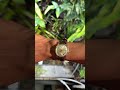 B rus auto sz 33. @394112509 pm e nhé #watch #vintage
