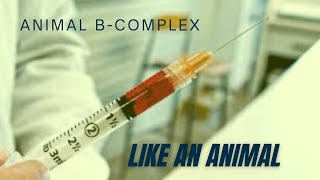 Celebrity Animal B complex Profile