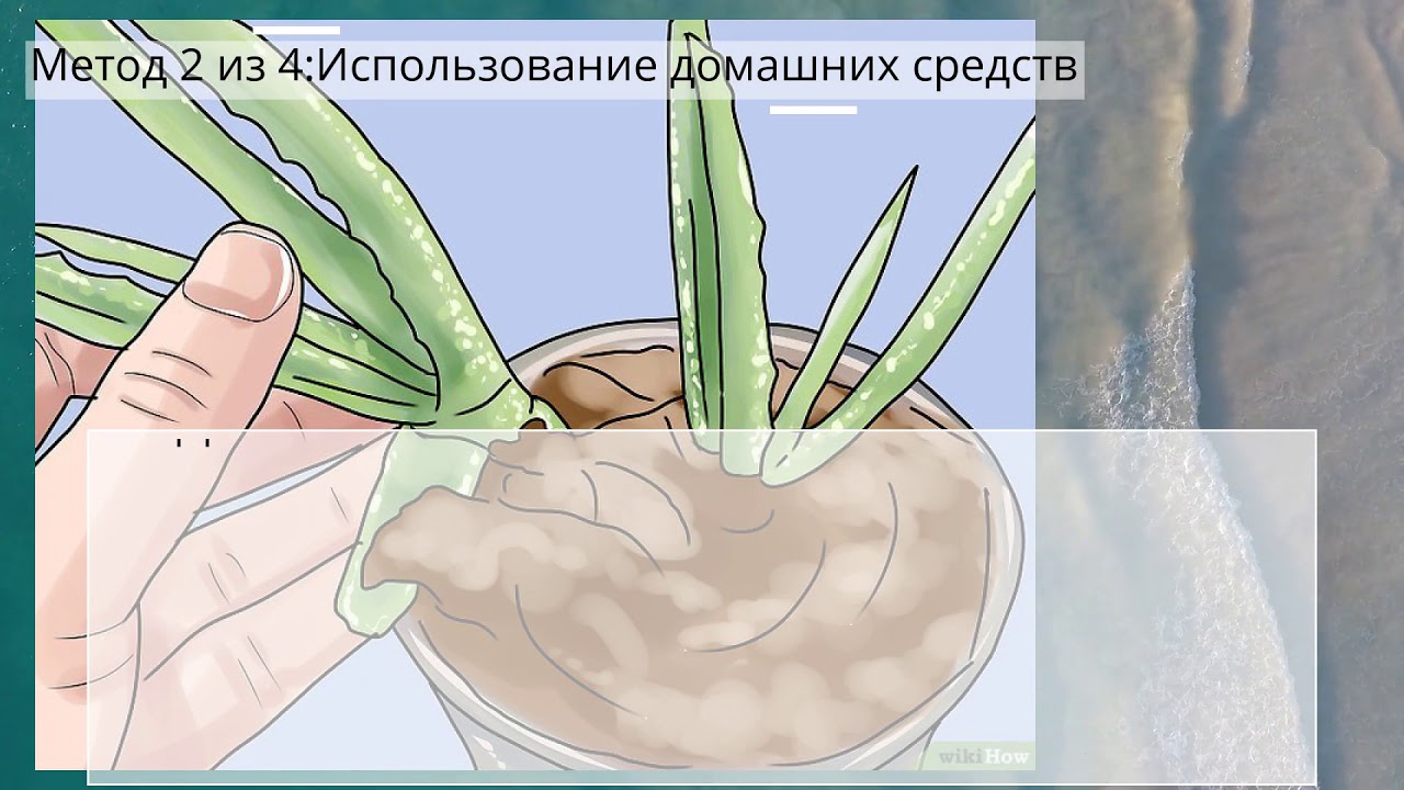 Как убрать шрамы на ногах - YouTube