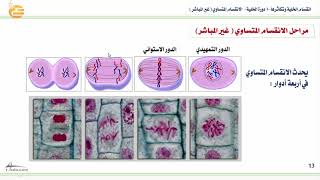 انقسام الخلية وتكاثرها -1 ( دورة الخلية - الانقسام غير المباشر )