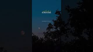 Surah Ghafir  #quranictranslation #quran #quranmotivation
