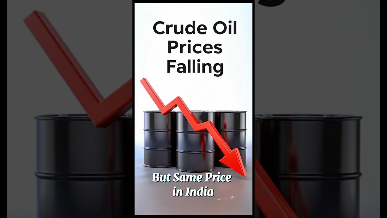 Why Is India's Petrol So Expensive? | Tax Realty 