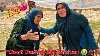 A Bitter Nightmare For A Grandmother Will The Shelter Owner Destroy Her